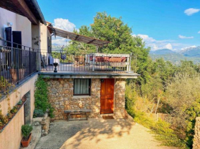 Bas de villa au milieu des oliviers.